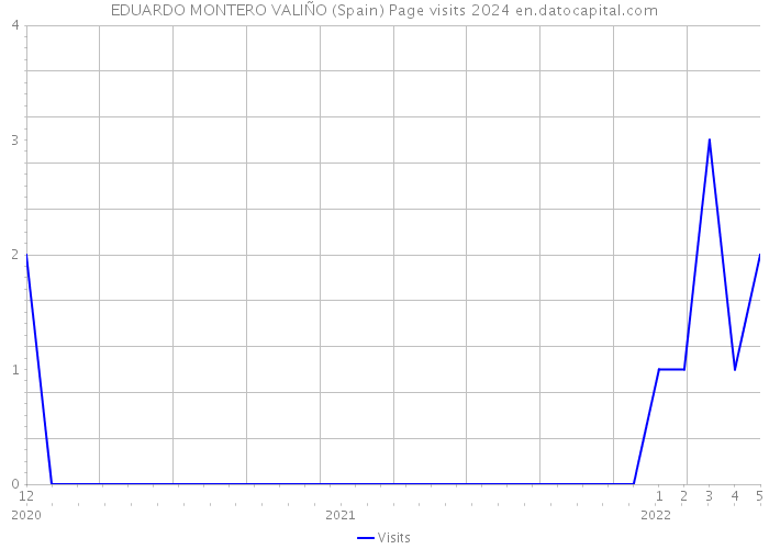 EDUARDO MONTERO VALIÑO (Spain) Page visits 2024 