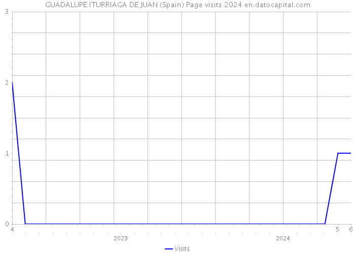 GUADALUPE ITURRIAGA DE JUAN (Spain) Page visits 2024 