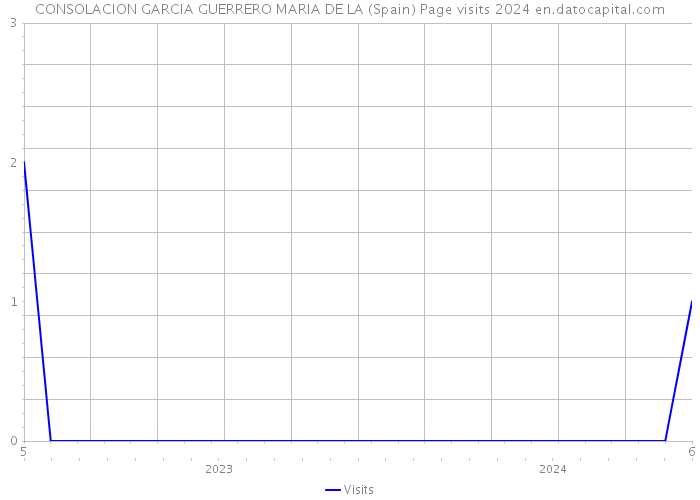 CONSOLACION GARCIA GUERRERO MARIA DE LA (Spain) Page visits 2024 