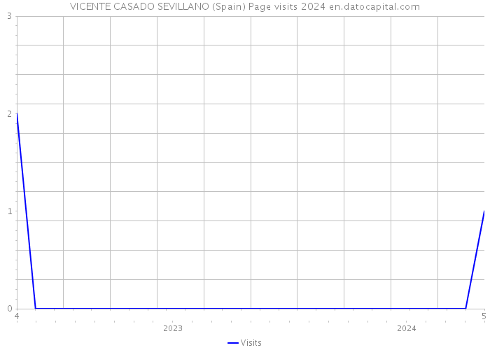 VICENTE CASADO SEVILLANO (Spain) Page visits 2024 