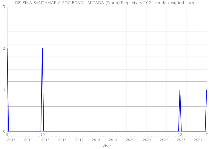 DELFINA SANTAMARIA SOCIEDAD LIMITADA (Spain) Page visits 2024 