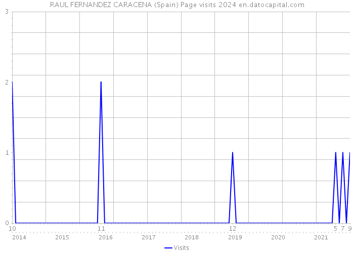 RAUL FERNANDEZ CARACENA (Spain) Page visits 2024 