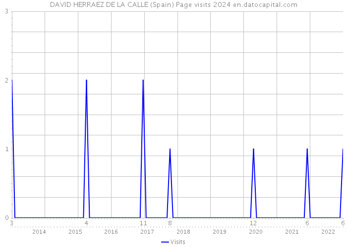 DAVID HERRAEZ DE LA CALLE (Spain) Page visits 2024 