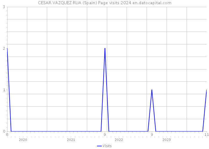 CESAR VAZQUEZ RUA (Spain) Page visits 2024 