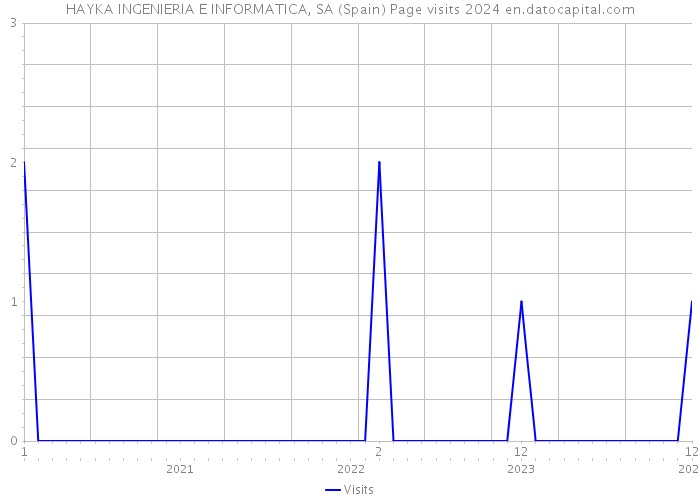 HAYKA INGENIERIA E INFORMATICA, SA (Spain) Page visits 2024 