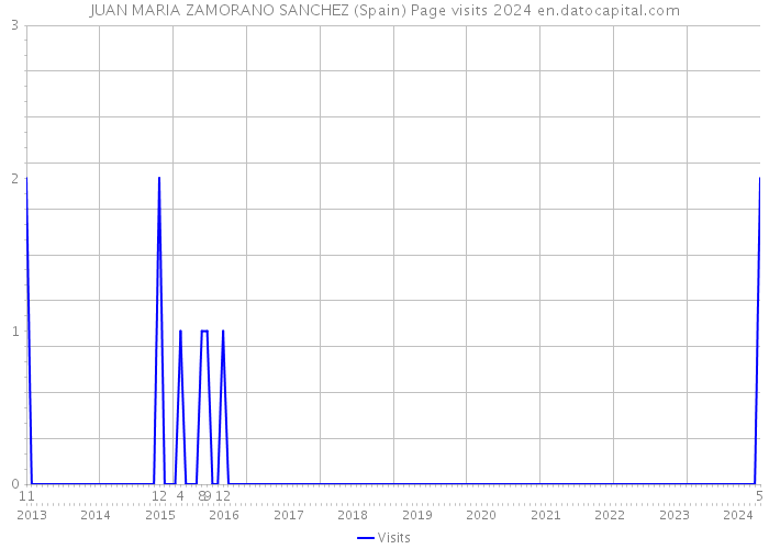 JUAN MARIA ZAMORANO SANCHEZ (Spain) Page visits 2024 
