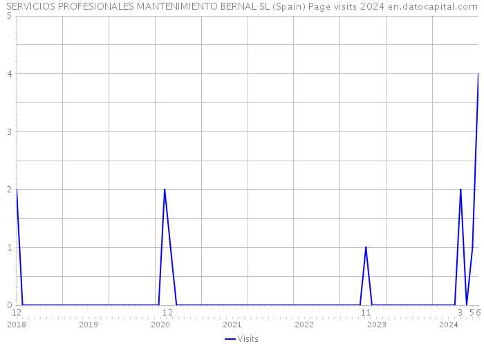 SERVICIOS PROFESIONALES MANTENIMIENTO BERNAL SL (Spain) Page visits 2024 