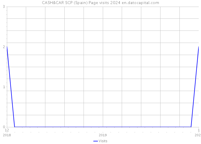 CASH&CAR SCP (Spain) Page visits 2024 