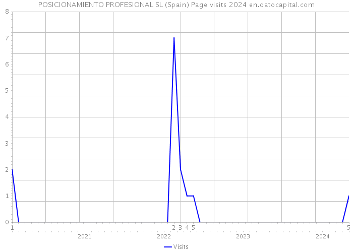 POSICIONAMIENTO PROFESIONAL SL (Spain) Page visits 2024 