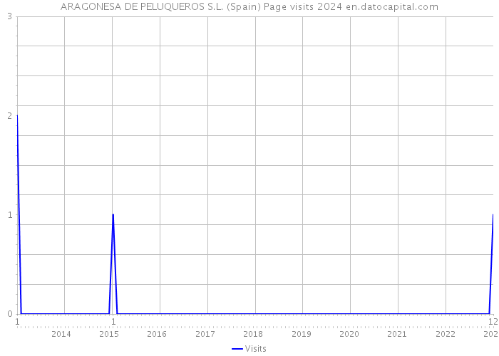 ARAGONESA DE PELUQUEROS S.L. (Spain) Page visits 2024 
