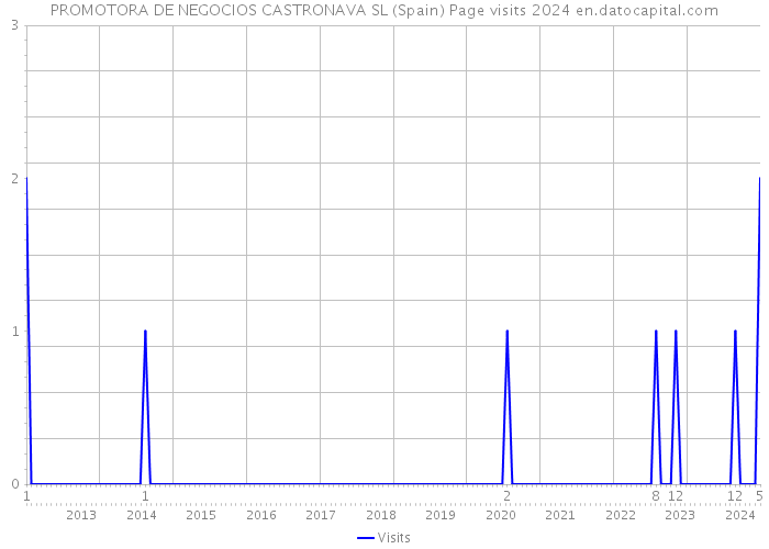 PROMOTORA DE NEGOCIOS CASTRONAVA SL (Spain) Page visits 2024 