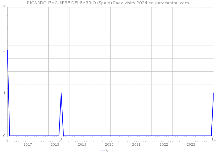 RICARDO IZAGUIRRE DEL BARRIO (Spain) Page visits 2024 