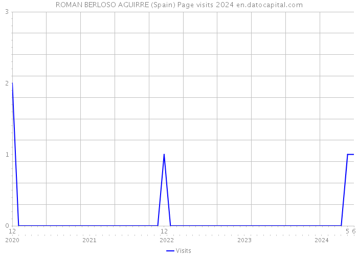 ROMAN BERLOSO AGUIRRE (Spain) Page visits 2024 