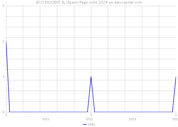 ECO DILIGENT SL (Spain) Page visits 2024 
