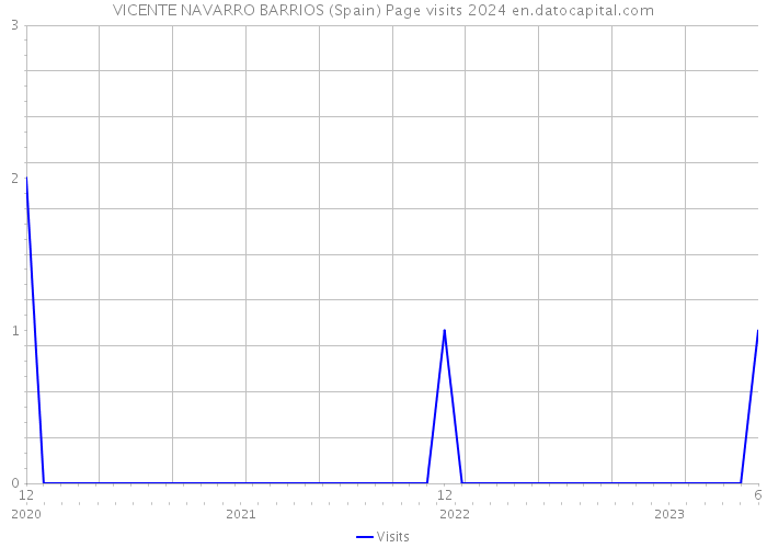 VICENTE NAVARRO BARRIOS (Spain) Page visits 2024 