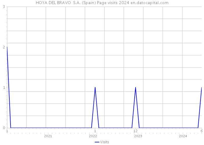 HOYA DEL BRAVO S.A. (Spain) Page visits 2024 