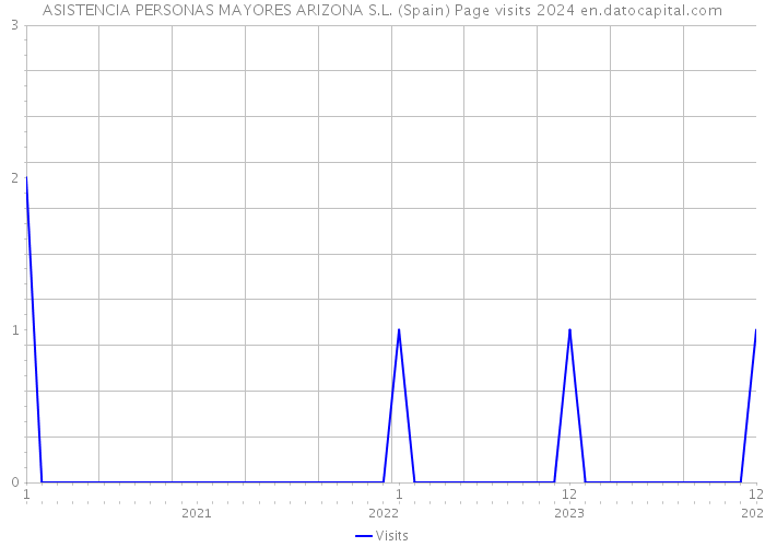 ASISTENCIA PERSONAS MAYORES ARIZONA S.L. (Spain) Page visits 2024 