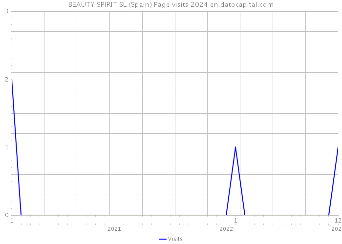 BEAUTY SPIRIT SL (Spain) Page visits 2024 