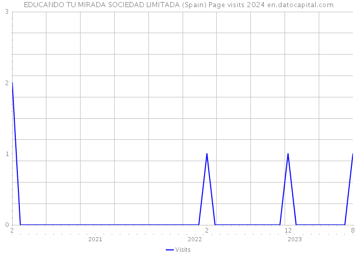EDUCANDO TU MIRADA SOCIEDAD LIMITADA (Spain) Page visits 2024 