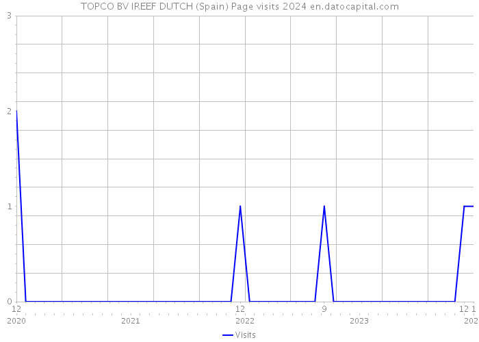 TOPCO BV IREEF DUTCH (Spain) Page visits 2024 