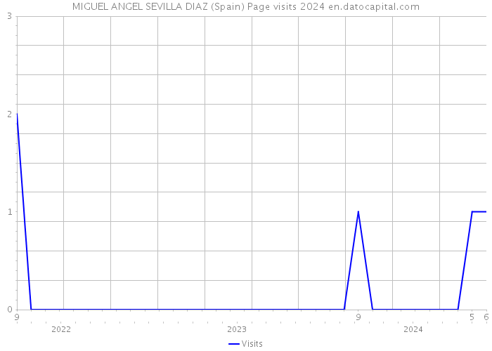 MIGUEL ANGEL SEVILLA DIAZ (Spain) Page visits 2024 