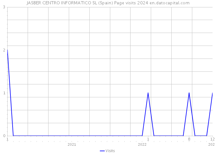  JASBER CENTRO INFORMATICO SL (Spain) Page visits 2024 
