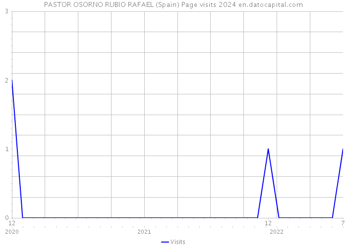 PASTOR OSORNO RUBIO RAFAEL (Spain) Page visits 2024 