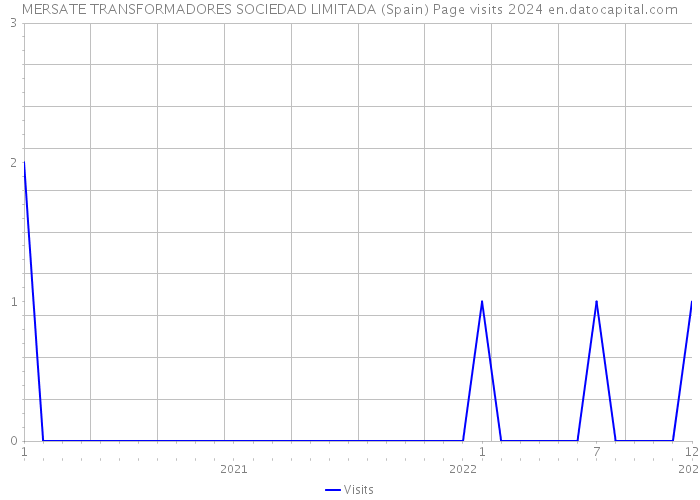 MERSATE TRANSFORMADORES SOCIEDAD LIMITADA (Spain) Page visits 2024 