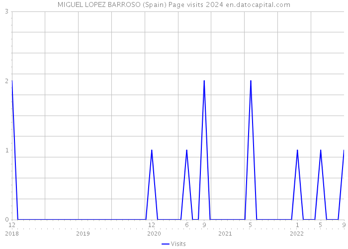 MIGUEL LOPEZ BARROSO (Spain) Page visits 2024 