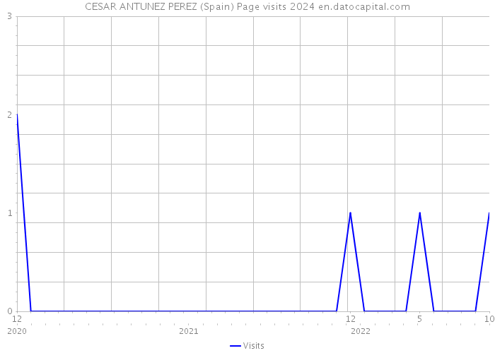 CESAR ANTUNEZ PEREZ (Spain) Page visits 2024 