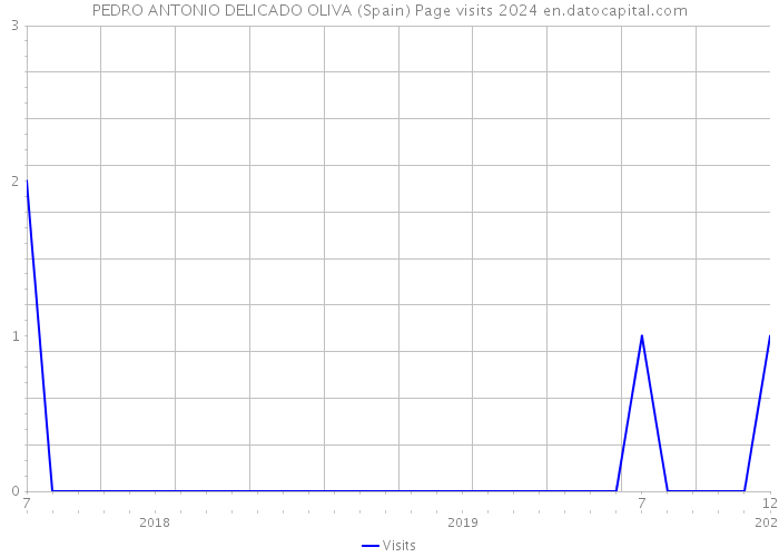 PEDRO ANTONIO DELICADO OLIVA (Spain) Page visits 2024 
