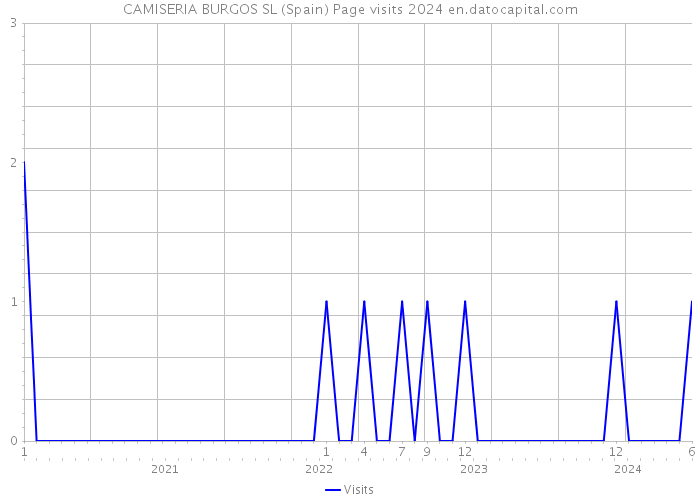 CAMISERIA BURGOS SL (Spain) Page visits 2024 