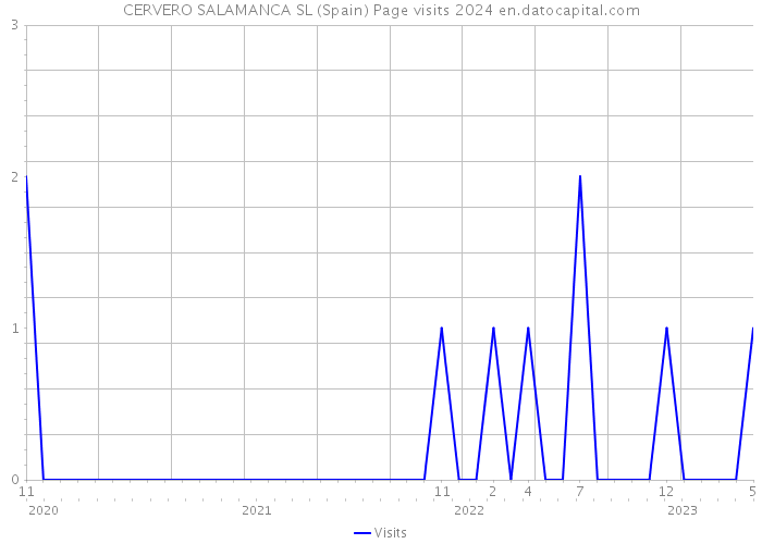 CERVERO SALAMANCA SL (Spain) Page visits 2024 