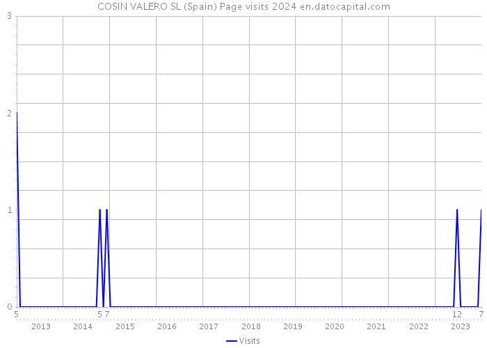 COSIN VALERO SL (Spain) Page visits 2024 