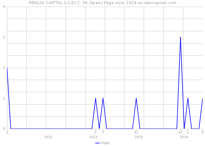 REALZA CAPITAL S.G.E.I.C. SA (Spain) Page visits 2024 