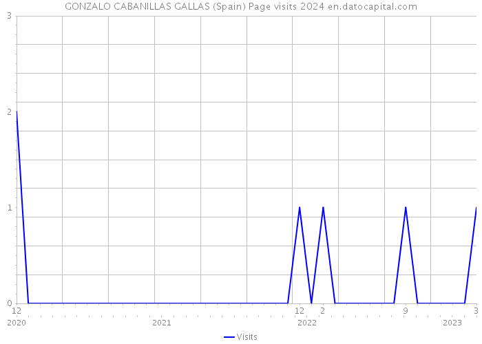 GONZALO CABANILLAS GALLAS (Spain) Page visits 2024 
