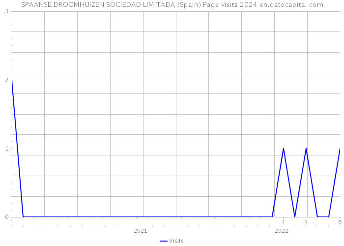 SPAANSE DROOMHUIZEN SOCIEDAD LIMITADA (Spain) Page visits 2024 