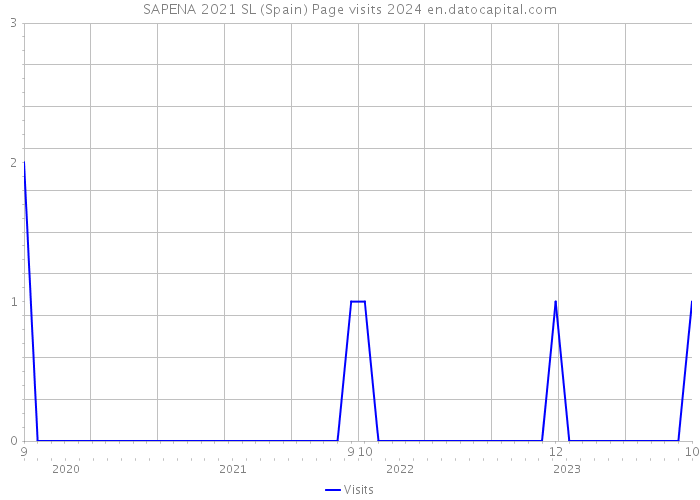 SAPENA 2021 SL (Spain) Page visits 2024 
