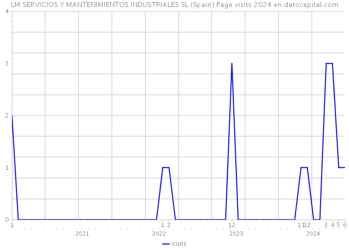 LM SERVICIOS Y MANTENIMIENTOS INDUSTRIALES SL (Spain) Page visits 2024 