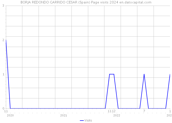 BORJA REDONDO GARRIDO CESAR (Spain) Page visits 2024 
