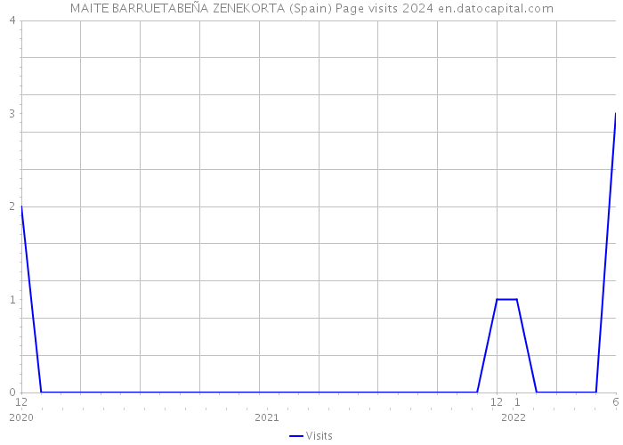 MAITE BARRUETABEÑA ZENEKORTA (Spain) Page visits 2024 