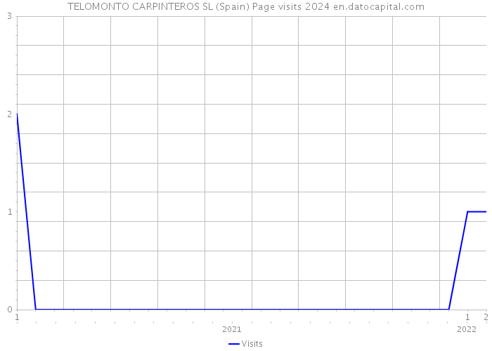 TELOMONTO CARPINTEROS SL (Spain) Page visits 2024 