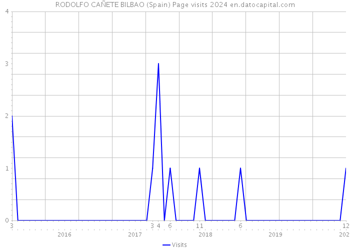 RODOLFO CAÑETE BILBAO (Spain) Page visits 2024 