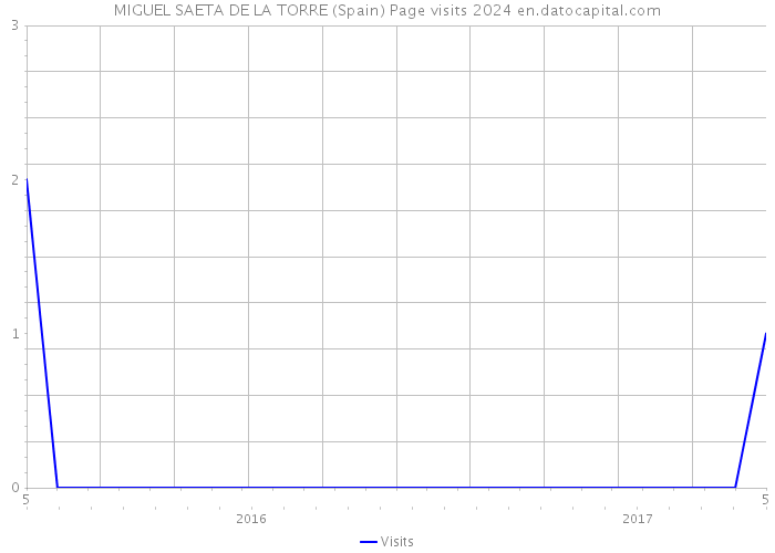 MIGUEL SAETA DE LA TORRE (Spain) Page visits 2024 