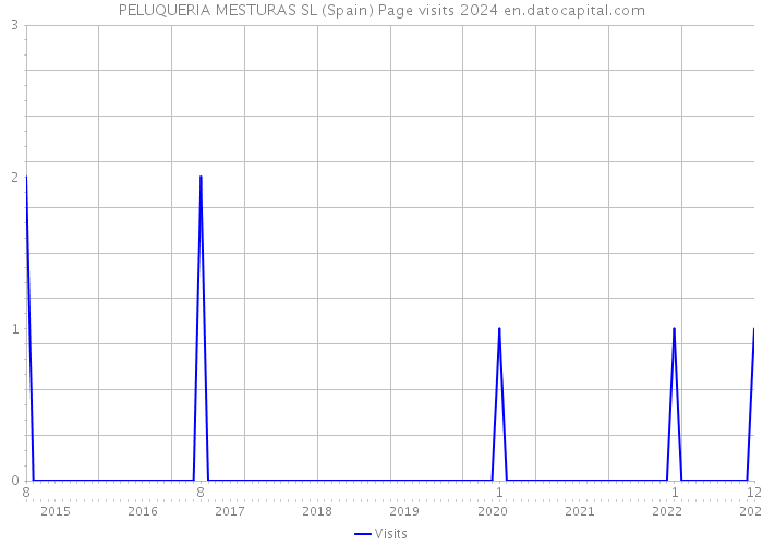 PELUQUERIA MESTURAS SL (Spain) Page visits 2024 