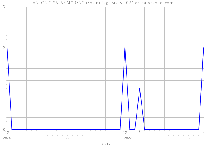 ANTONIO SALAS MORENO (Spain) Page visits 2024 