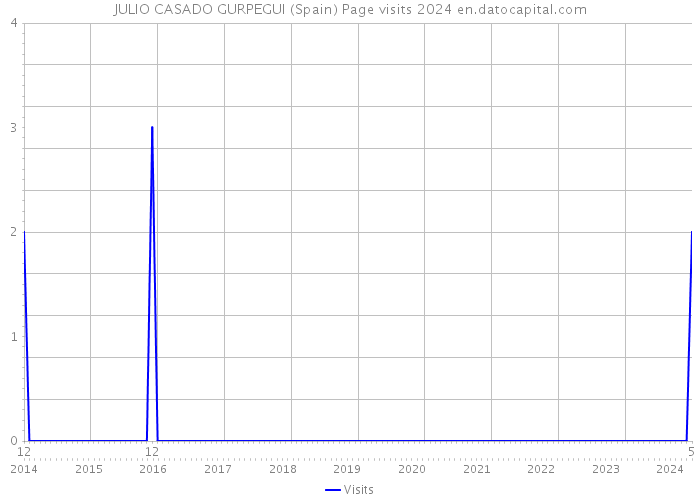 JULIO CASADO GURPEGUI (Spain) Page visits 2024 