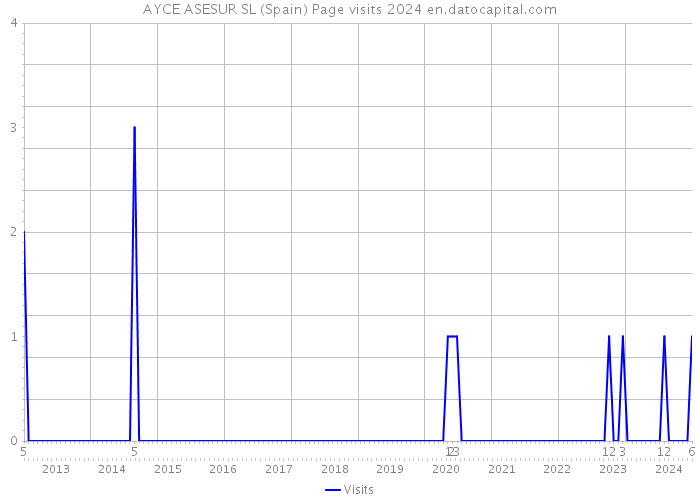 AYCE ASESUR SL (Spain) Page visits 2024 