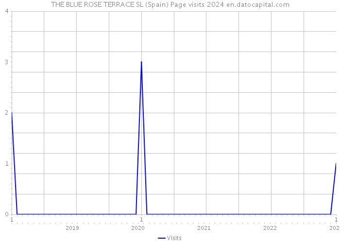 THE BLUE ROSE TERRACE SL (Spain) Page visits 2024 