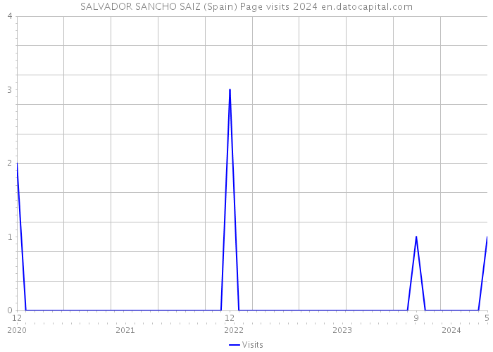 SALVADOR SANCHO SAIZ (Spain) Page visits 2024 